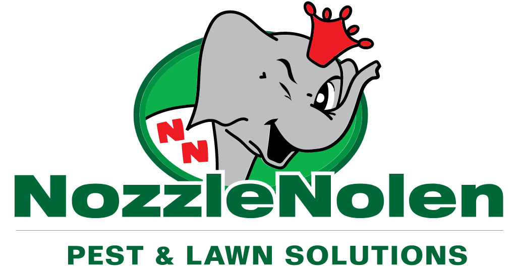 Nozzlen Nolan logo