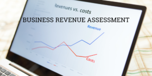Business revenue assessment